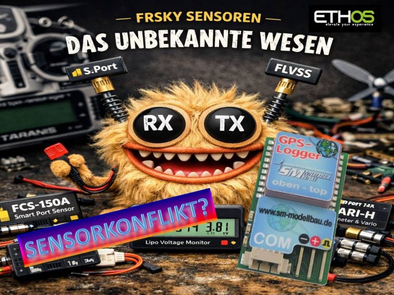 Sensorkonflikt vermeiden unter Ethos